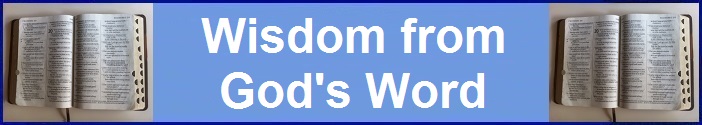 Wisdom From God's Word Banner